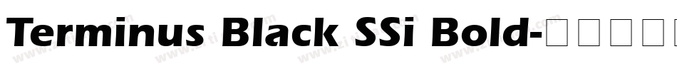 Terminus Black SSi Bold字体转换